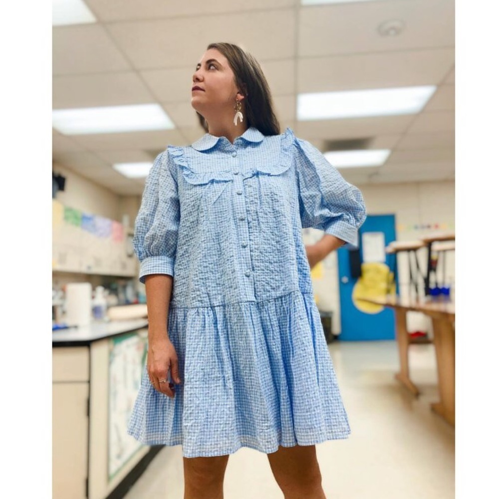 NWOT Sandy Liang Blue Gingham 3/4 Sleeve Dress - Picture 9 of 12